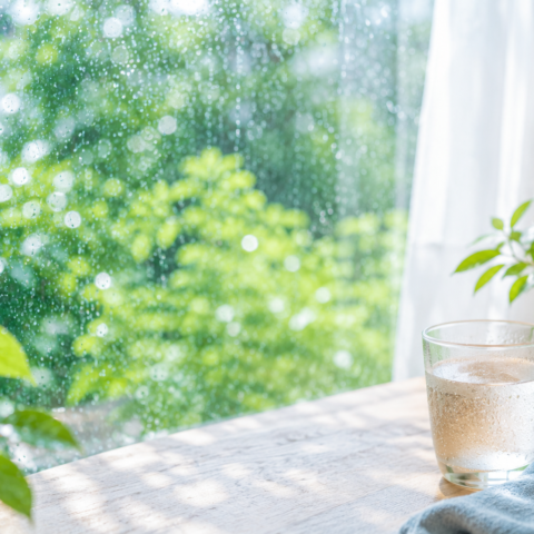 多湿期の体調管理